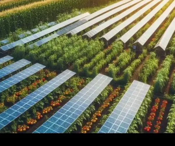 Eco-Construction